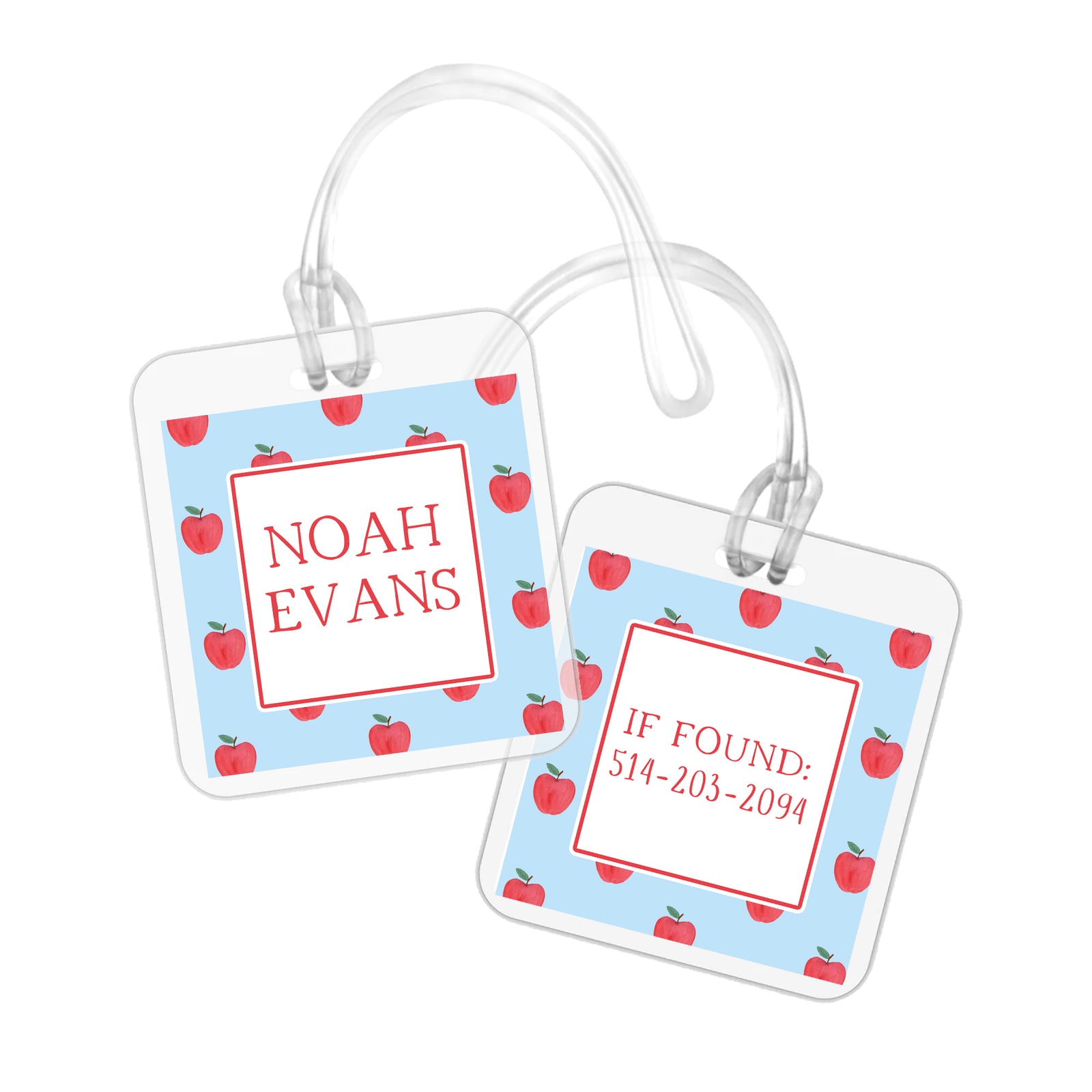 Blue Apple School Bag Tag