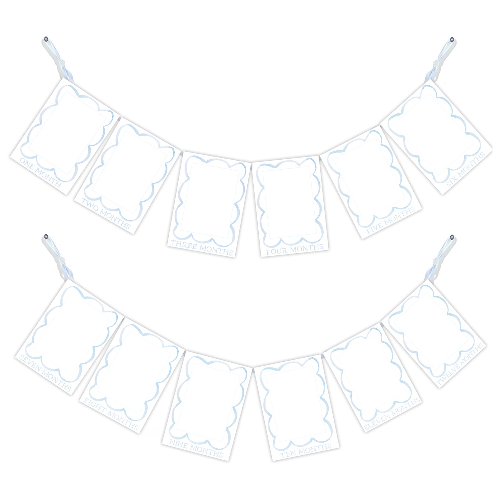 Blue Scallop Month to Month Photo Banner