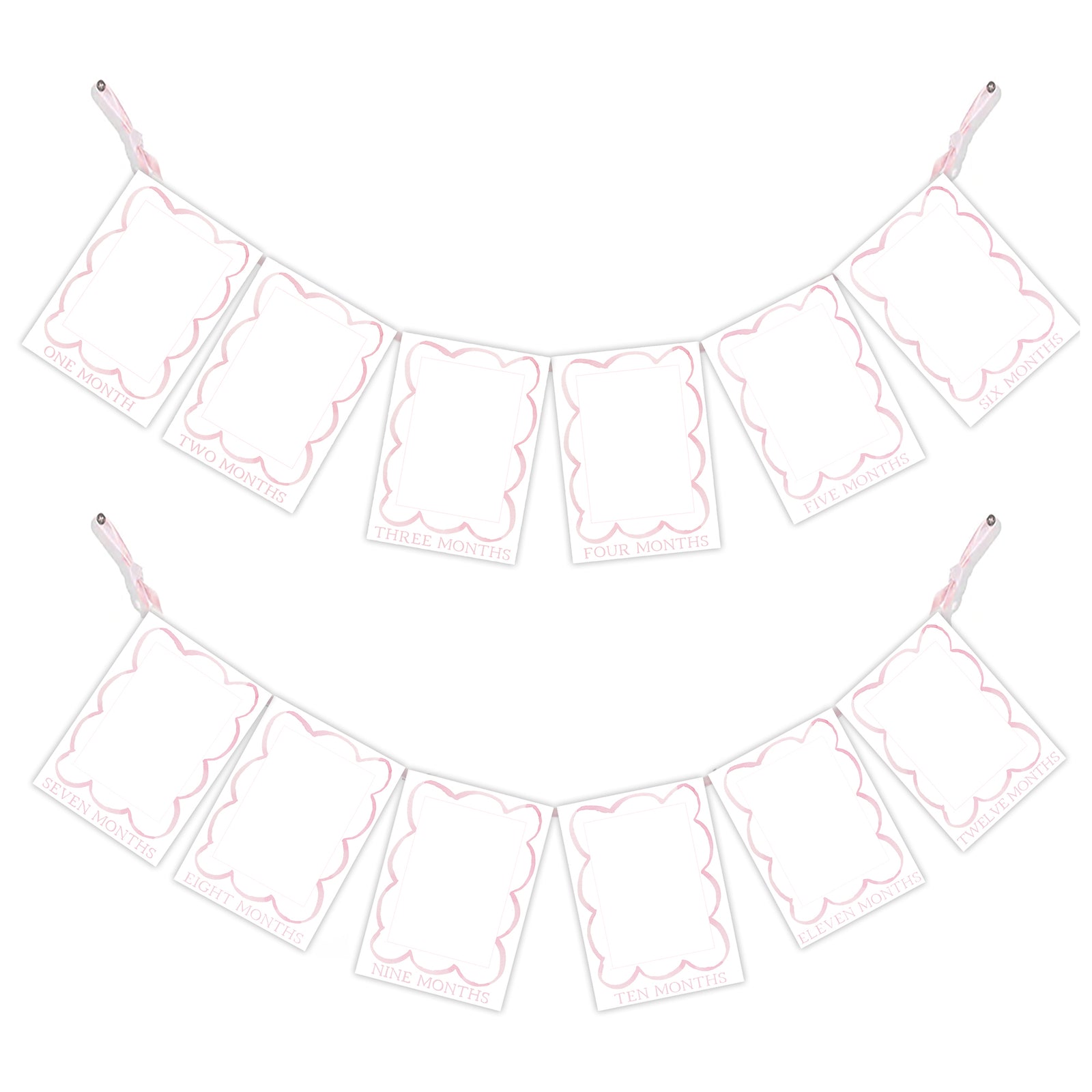 Pink Scallop Month to Month Photo Banner